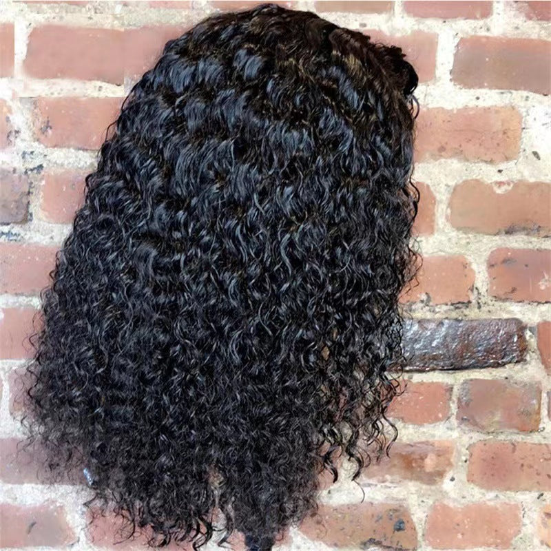 Women Short Curly Synthetic Wig – Heat Resistant Lace Front